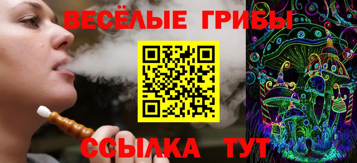 Псилоцибиновые грибы Magic Shrooms  купить   Тамбов  Вход с VPN  Псилоцибиновые грибы MAGIC MUSHROOMS 