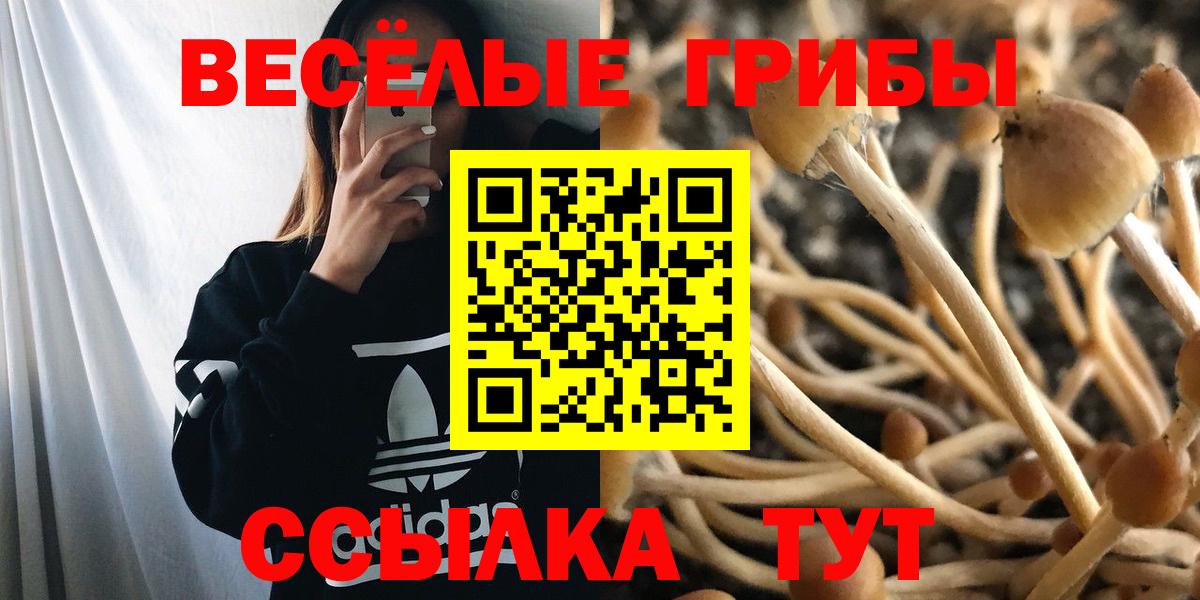 Галлюциногенные грибы мухоморы Тамбов