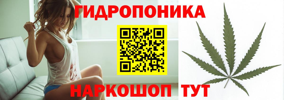 Бошки Шишки семена  Конопля индика  Вход с VPN  МАРИХУАНА ГИДРОПОН  Тамбов  Бошки марихуана VHQ 